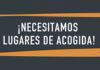 Solidaridad en acción: ¡Necesitamos tu ayuda en el Programa +Afrique! 